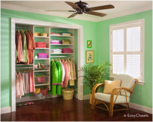 reach-in closet ideas